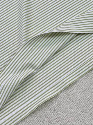 Ralph Lauren Fine Stripe Contrast Collar Polo Shirt
